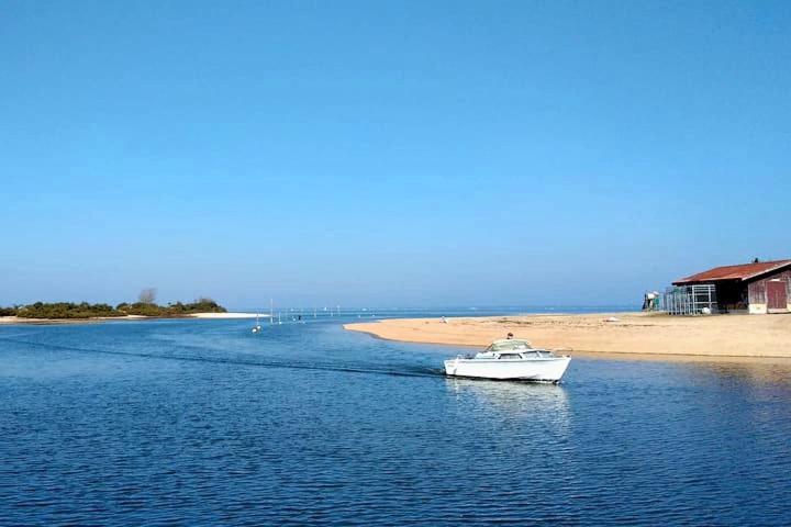 Guesthouse Bassin D'Arcachon 라테스트드뷔크 외부 사진