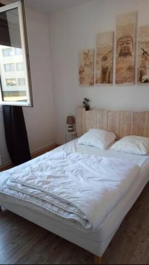 Guesthouse Bassin D'Arcachon 라테스트드뷔크 외부 사진